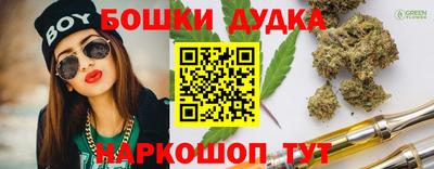 a pvp Обь