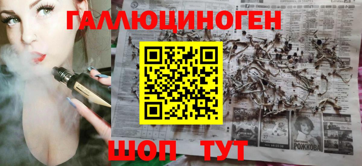 Северобайкальск  Псилоцибиновые грибы ЛСД  Вход с VPN 