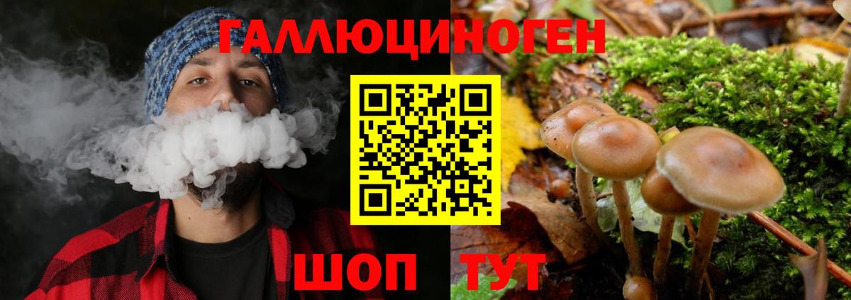Псилоцибиновые грибы GOLDEN TEACHER Северобайкальск